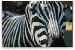  Gyémántszemes festmény - Fókuszban a zebra Méret: 40x60cm, Keretezés: Kartonlemezen, Gyémántok: Kerek