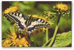 Gyémántszemes festmény - Pillangó pitypangon Méret: 40x60cm, Keretezés: Fatáblával, Gyémántok: Négyzet alakú