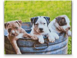  Gyémántszemes festmény - Három kölyök Méret: 40x50cm, Keretezés: Műanyagtáblával, Gyémántok: Négyzet alakú