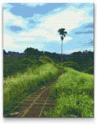 Gyémántszemes festmény - Séta a rizsföldeken, Bali Méret: 30x40cm, Keretezés: Műanyagtáblával, Gyémántok: Kerek