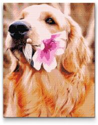  Gyémántszemes festmény - Labrador virággal Méret: 30x40cm, Keretezés: Műanyagtáblával, Gyémántok: Négyzet alakú