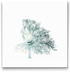  Gyémántszemes festmény - Fahölgy Méret: 50x50cm, Keretezés: Műanyagtáblával, Gyémántok: Kerek