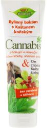 Bione Cosmetics Balsam pentru picioare - Bione Cosmetics Cannabis Herbal Ointment With Horse Chestnut 300 ml