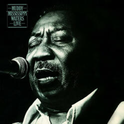 MOV Muddy Waters - Live