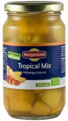 MorgenLand Compot Bio, Mix din Fructe Tropicale, 360g/230g MorgenLand (ML400117002)