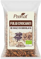 Pronat Foil Pack Fulgi Crocanti Bio de Ovaz cu Ciocolata 250g (PRN101784)