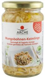 Arche Naturküche - Asia Muguri Bio de Fasole mung, 330 g / 175 g Arche (AR13030)