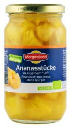 MorgenLand Compot de Ananas BIO, Bucati in Suc Propriu, 350 g, Morgenland (ML400110001)