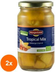 MorgenLand Set 2 x Compot Bio, Mix din Fructe tropicale, 360g/230g MorgenLand (ORP-2xML400117002)