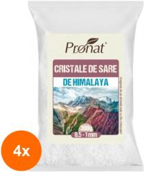 Pronat Foil Pack Set 4 x Sare Neiodata Cristalina de Himalaya, 300 g, Pronat