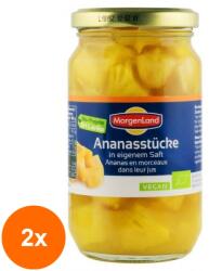 MorgenLand Set 2 x Compot de Ananas BIO, Bucati in Suc Propriu, 350 g, Morgenland