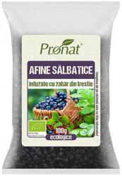Pronat Foil Pack Afine Salbatice Bio Indulcite cu Zahar din Trestie, 100 g (PRN11044)