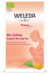 Holle WELEDA Bio tejserkentő tea szoptató édesanyáknak 20x2g