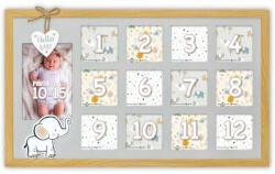 Zep Enea képgaléria (VG352)