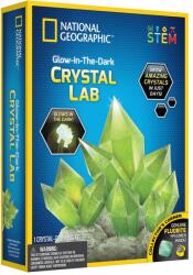 National Geographic Kit Creativ Laborator De Crestere Cristale Verzi - National Geographic (ng29691)
