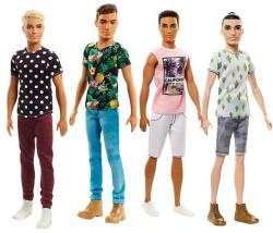 Mattel - Barbie Model Ken, Mix de produse (25DWK44)