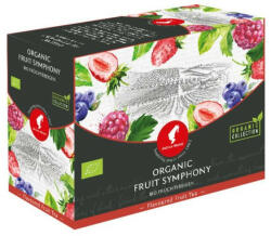 Julius Meinl BIG BAG Organic tea FRUIT SYMPHONY, 20 db (567)