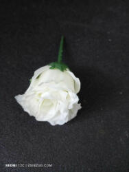  Bimbó rózsa - fehér