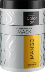 ProSalon Mască pentru menținerea culorii părului vopsit Mango - Prosalon Basic Care Color Art Color Protect Mask Mango 1000 ml