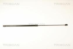 TRISCAN Amortizor capota TRISCAN 8710 24106 (8710 24106) - automobilus