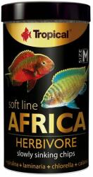 Tropical Africa Herbivore M 250ml/130g haleledel mindenevő afrikai halak számára - cobbyspet