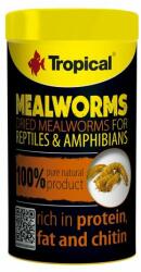 Tropical Meal worms 100ml/13g természetes eledel hüllőknek