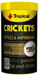 Tropical Crickets 100ml/10g szárított tücskök hüllőknek - cobbyspet