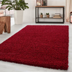 Ayyildiz DREAM szőnyeg 160X230, piros színben (452568)