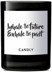 Candly - Lumanare parfumata de soia Inhale the future/Exhale the past 250 g 99KK-AKU12P_99X