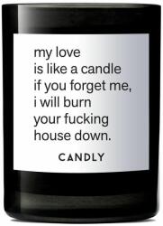 Candly - Lumanare parfumata de soia My love is like a candle 250 g 99KK-AKU12O_99X