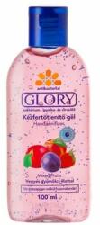 Glory/HC gél Vegyes gyümölcs 100 ml kézfertőtlenítő (HKG100VGY)
