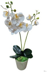 Bloomi Cserepes gumi orchidea (fehér sárga) (501239)