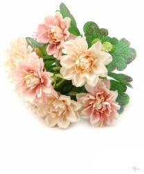 Bloomi Gardenia Csokor 7 Fejes - Barack+rózsaszín (292682)