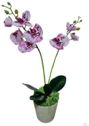 Bloomi Cserepes gumi orchidea (fehér pink) (216747)