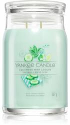 Yankee Candle Cucumber Mint Cooler 567 g