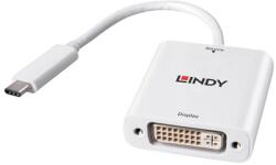 Lindy USB Type C to DVI Converter (43338) - macropolis