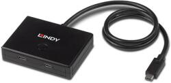Lindy 2 Port USB 3.2 Gen 1 Type C Switch - bidirectional (43329) - macropolis
