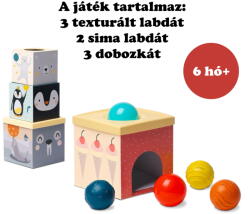 Taf Toys Északi Sark érzékfejlesztő kockapiramis labdákkal