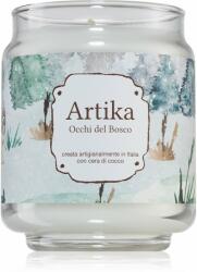 FRALAB Artika Occhi Del Bosco illatgyertya 190 g