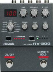 BOSS RV-200 - muziker