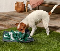 Tchibo Szimatszőnyeg kutyáknak Alsó rész és pánt: antracit Filcrojtok: sötétzöld-szürke