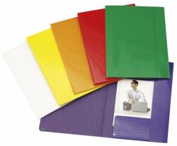 Fornax Gumis mappa A4, 600g. FC karton Fornax Glossy zöld (A-400964) - tintasziget
