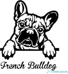  Díszes Francia bulldog matrica