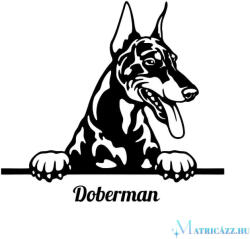 Díszes Dobermann matrica