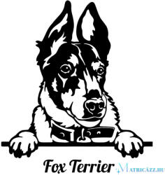  Fox terrier matrica
