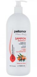 Pell Amar Sampon Regenerant cu Extract de Catina - Pellamar, 1000 ml