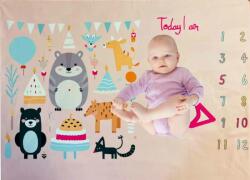 Milestone Pătură foto Milestone - Ziua de naștere, 70 x 100 cm, roz (101112) Lenjerii de pat bebelusi‎, patura bebelusi
