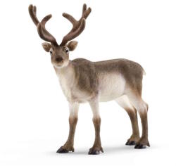 Schleich 72210 Aranyszarvú rénszarvas figura - Wild Life (72210)