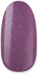 NiiZA Gel Polish 4ml - 202 - jolifodraszkellek