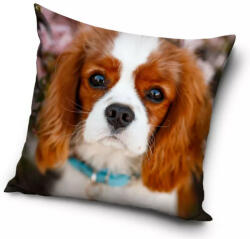 Kutyás párnahuzat 40*40 cm (CBX215055PNL) - oliviashop